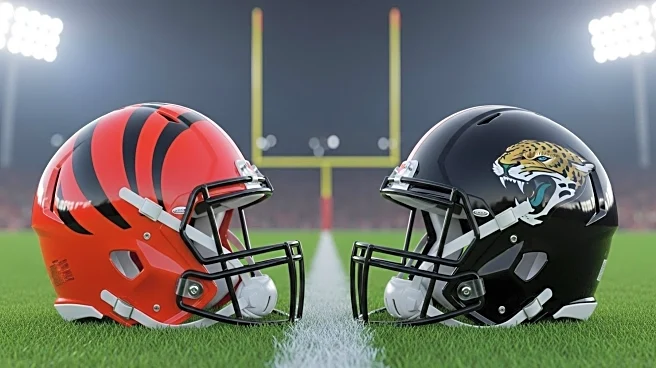 NFL Experts Predict Bengals to Win Over Jaguars in Week 2 Matchup