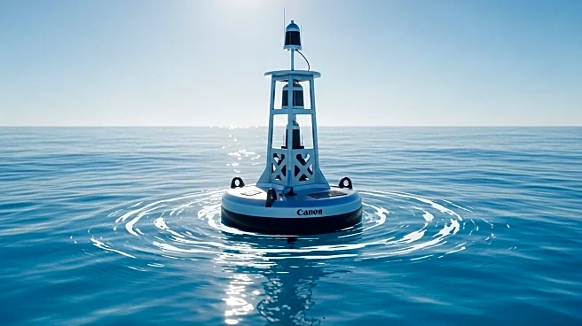 Australia Implements Advanced Measures to Mitigate Shark Attack Risks
