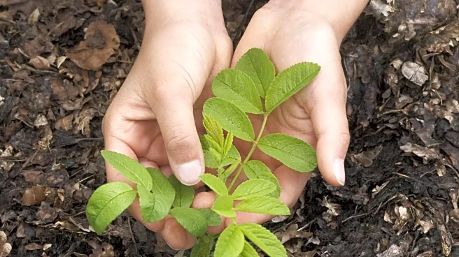 Gardeners Encouraged to Plant Native Species in Fall for Ecological Benefits