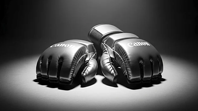 Gable Steveson Triumphs in MMA Debut with First-Round TKO at LFA 217