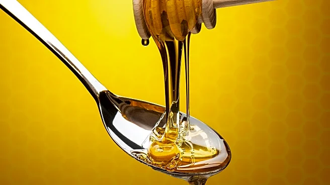 Nate's Minis Introduces Manuka Honey to Everyday Wellness Market
