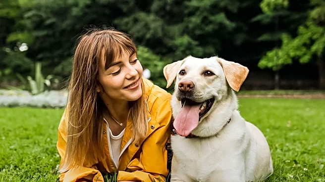 Veterinarians Identify Key Indicators of Dog Happiness and Well-being