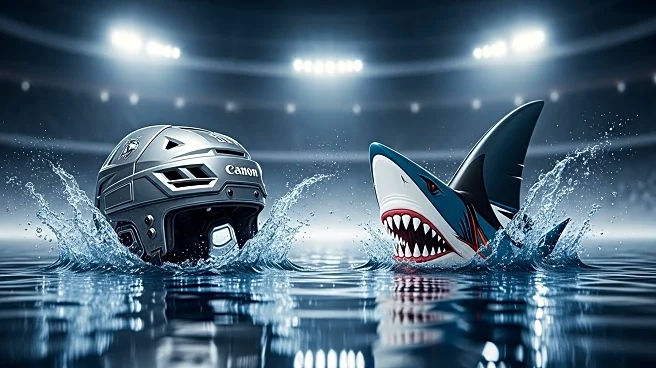 Anaheim Ducks Fall to Sharks in Golden State Rookie Faceoff Opener
