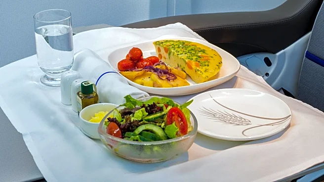 Travel Expert Advises on Inflight Meal Choices to Avoid Discomfort