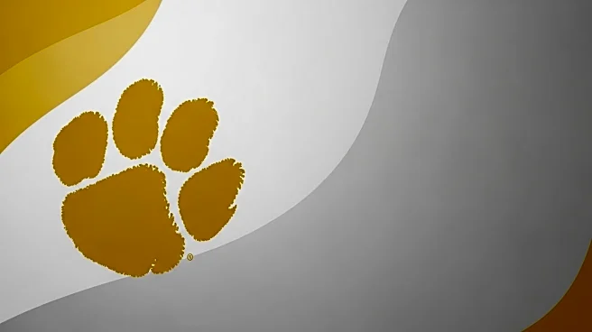 LSU Encourages Fans to Wear Gold for SEC Matchup Against Florida