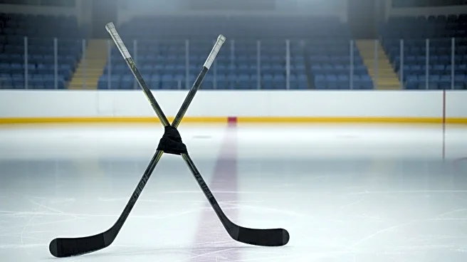 NHL Commissioner Gary Bettman Announces Passing of Bob Goodenow, Impact on Hockey Community