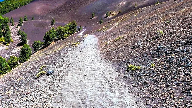Hiker Chronicles Challenges and Discoveries on Pacific Crest Trail