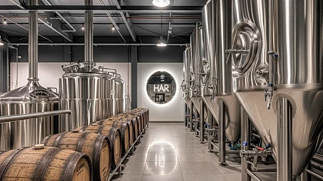 BrewDog Faces Decline as Sales Stall Amidst Cultural and Financial Challenges