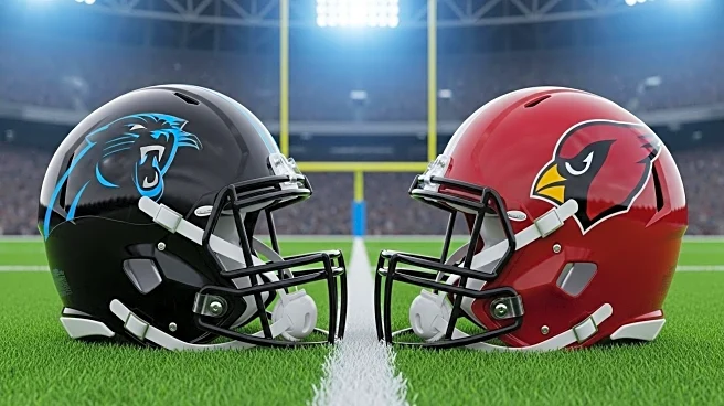 Carolina Panthers Face Arizona Cardinals in High-Stakes NFL Matchup