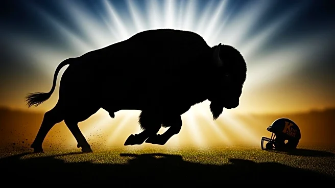 Buffalo Defeats Kent State 31-28, Extending Kent State's Losing Streak