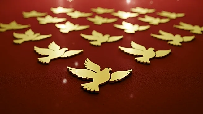 Emmy Awards 2025: Stars Advocate for Peace on the Red Carpet