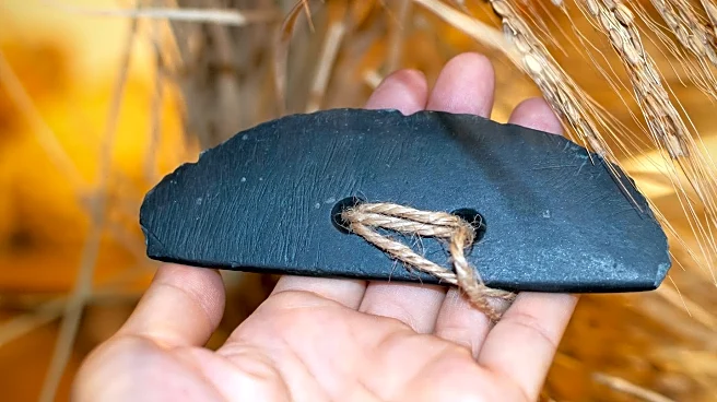 Archaeologists Uncover 4,000-Year-Old Tablet in Turkey, Shedding Light on Ancient Economy