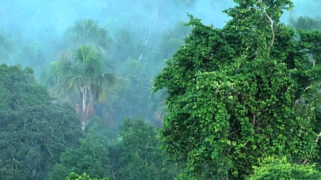 Study Highlights Health Benefits of Protecting Amazonian Forests from Wildfires