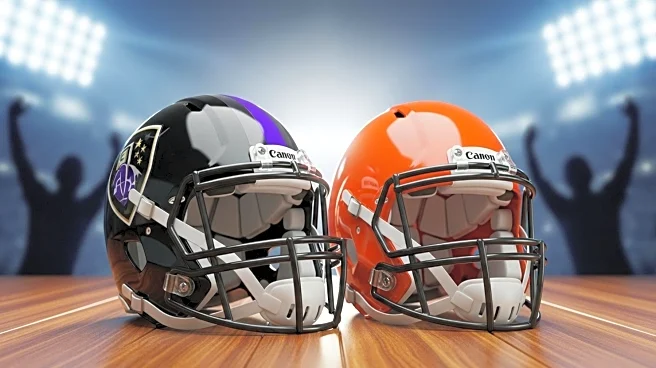 Baltimore Ravens Fans Celebrate Team's Victory Over Cleveland Browns