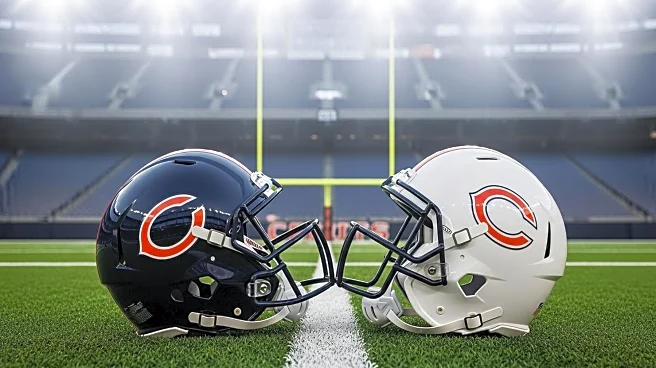 Chicago Bears Struggle Despite Offseason Changes, Face Early Season Challenges