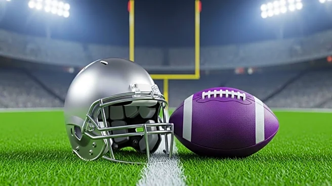 Atlanta Falcons Secure Victory Over Minnesota Vikings in NFL Week 2
