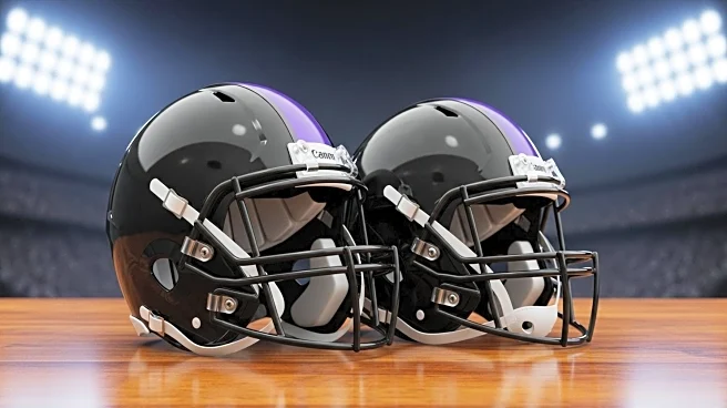Baltimore Ravens Fans Celebrate Victory Against Cleveland Browns