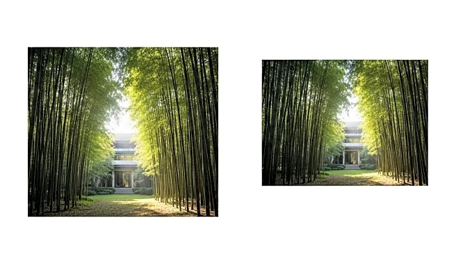 Four Seasons Plans New Luxury Resort in Moganshan, China, Enhancing Regional Tourism
