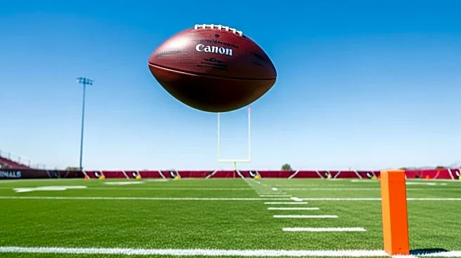Arizona Cardinals Analyst Predicts Touchdown Success Against Panthers