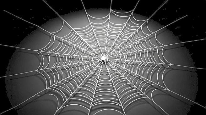 Scattered Spider's Retirement Announcement Raises Concerns of Deception