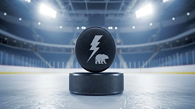 NHL Announces Ticket Sale for 2026 Stadium Series Featuring Lightning and Bruins