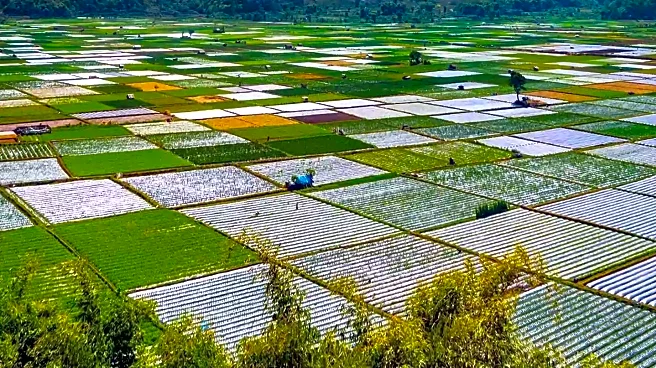 Agriculture Show 2025 Promotes Sustainable Farming and Agri-Tourism in Fiji