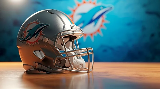 Patriots' Kyle Williams: Limited Offensive Role in Win Against Dolphins
