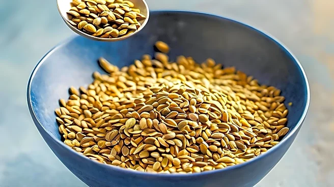 Ear Seeds Gain Popularity for Stress Relief and Health Benefits