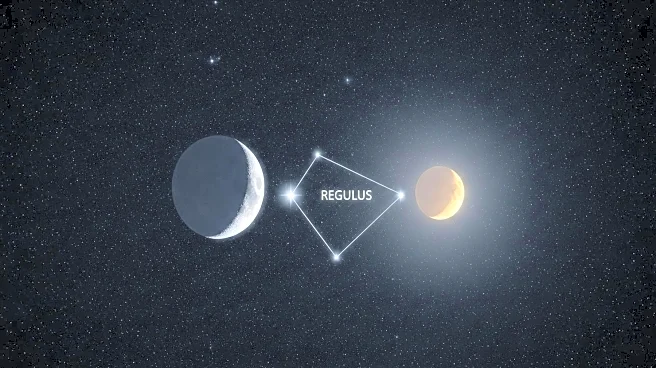Celestial Event: Moon and Venus Align with Regulus in Leo