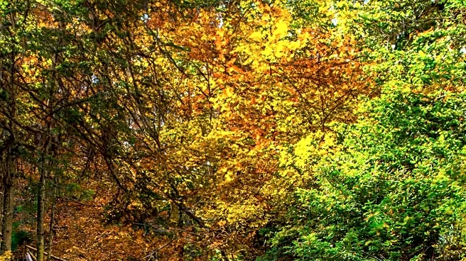 New York State Parks Highlighted for Fall Foliage and Waterfall Hikes