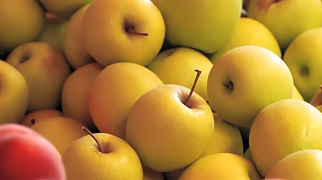 California's Top Apples Highlighted in CBS Segment