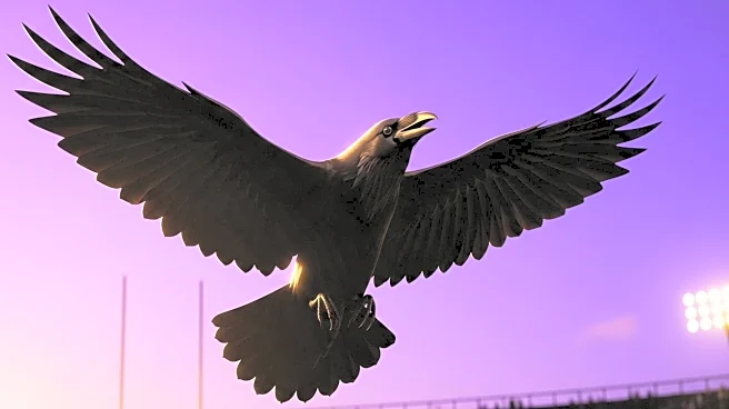 Baltimore Ravens Secure A+ Grade After Dominant Victory Over Cleveland Browns