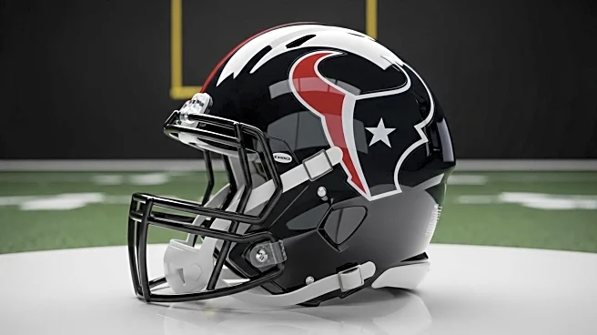 Houston Texans Evaluate Tysheem Johnson for Defensive Depth