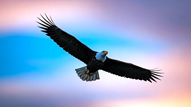 President Trump Proclaims Constitution Week 2025 to Celebrate American Heritage
