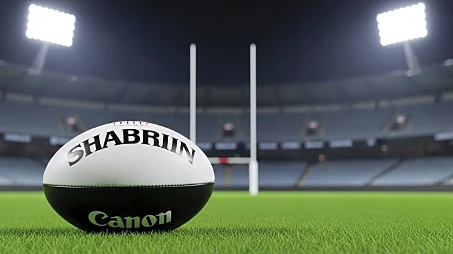 Collingwood Magpies and Brisbane Lions Set for AFL Preliminary Final Showdown