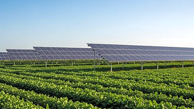 Innovative Agrivoltaics Project in Denmark Demonstrates Potential for Solar and Farming Synergy