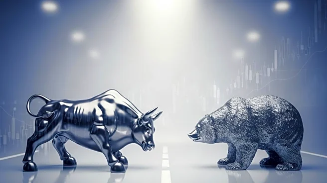 S 500 'Animal Spirits' Indicator Suggests Imminent Market Pullback