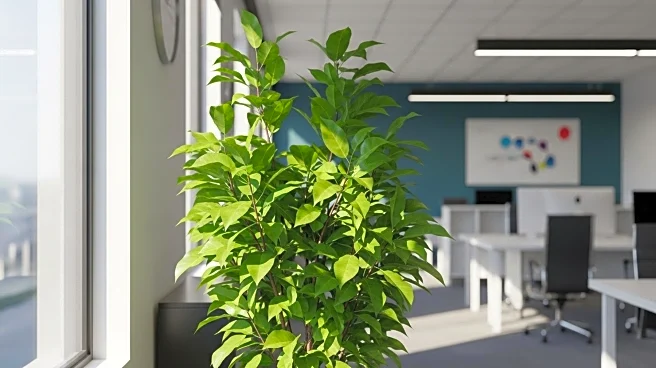 Natural Alternatives International Reports $7.2M Q4 Loss Despite Revenue Growth