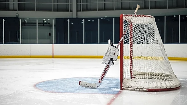Maple Leafs Goalie Anthony Stolarz to Shoulder Early Season Load Amid Woll's Absence