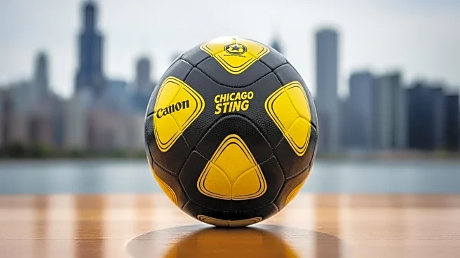 Chicago Sting's Historic Victory Over New York Cosmos Remembered