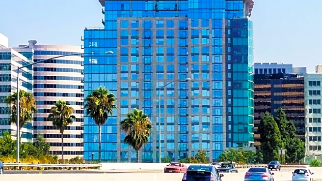 Beverly Hills Palm Tree Streets Face Challenges from Tourist Influx