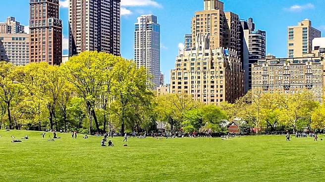 Gladiators NYC Hosts Public Battles in Central Park