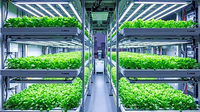 Vertical Farming Advocated as a Contributor to Global Food Systems