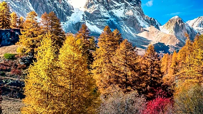 Autumn Colors Captured in Stunning Photography Across the Northern Hemisphere