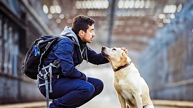 Dog's Affectionate Reaction to Vet Visit Captivates Social Media