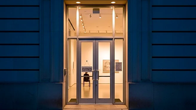 Anna Schwartz Gallery to Close and Rebrand Amidst Evolving Art Scene