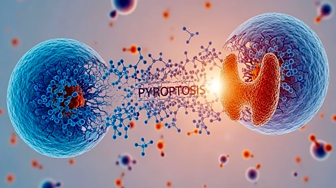 Pyroptosis Mechanisms Offer New Insights for Thyroid Cancer Treatment