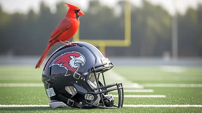 Cardinals Head Coach Jonathan Gannon Fined $100K for Sideline Altercation with Player