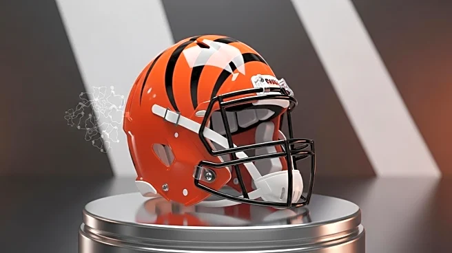 Cincinnati Bengals Acquire Joe Flacco in Division-Shaking Trade