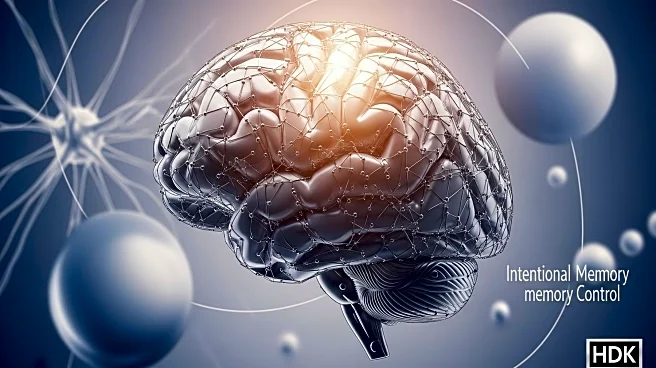 Study Finds Intentional Memory Control More Effective Than Emotional Influence